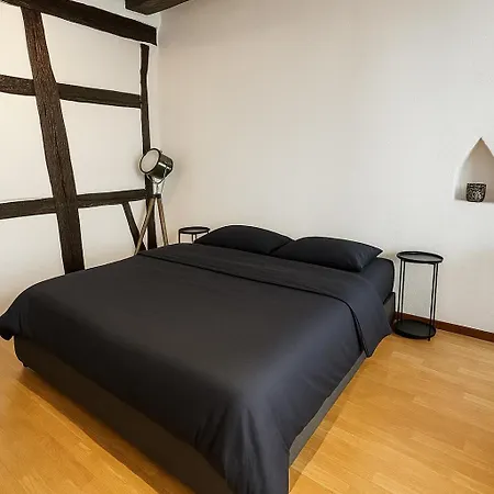 Appartamento Maison à Colombages Au Cœur De Centre-ville Colmar